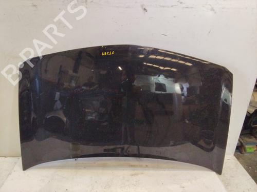 Used Hood RENAULT MEGANE II (BM0/1_, CM0/1_) 1.6 16V (112 hp) 19920095