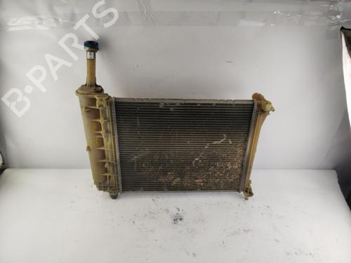 Køler FIAT PANDA VAN (312_, 519_) 1.2 LPG (312CXA1A) (69 hp) 23451569