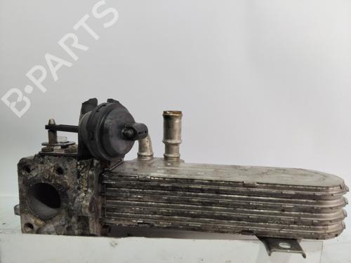 Egr SEAT ALTEA XL (5P5, 5P8)  | BP24032196M69 