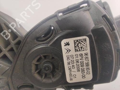 Pedal CITROËN C3 I (FC_, FN_)  | BP24195273I4 