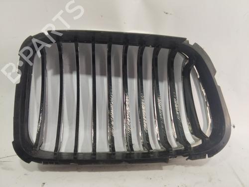 Grille BMW 3 (E46) 318 i | BP24417588C40 