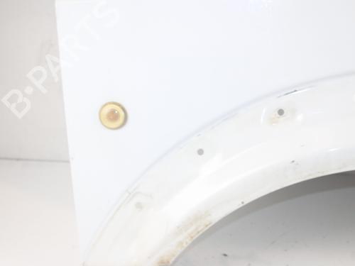 Right front fenders FORD TOURNEO CONNECT  | BP16905547C42 