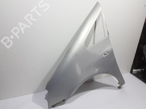 Left front fenders SEAT ALHAMBRA (7V8, 7V9)  | BP11947105C41 