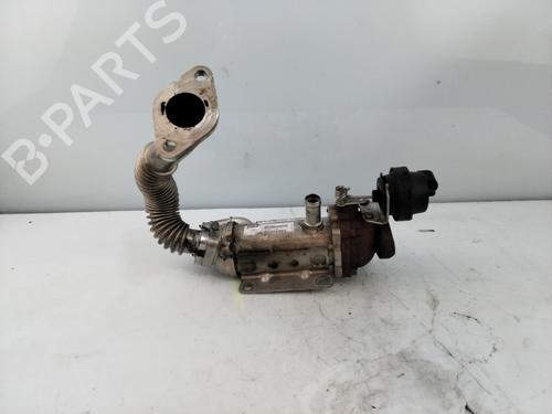 Egr RENAULT LAGUNA III (BT0/1)  | BP20320638M69 