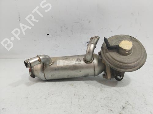 Used Egr CHRYSLER VOYAGER IV (RG, RS) [1999-2008]  25873812