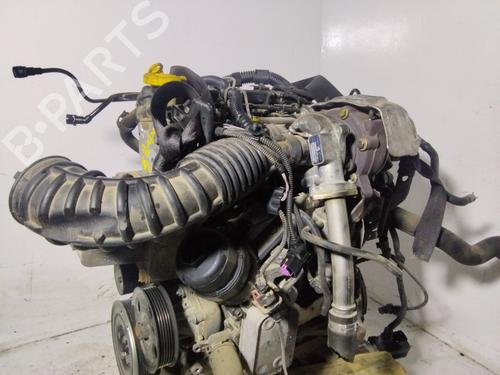 Engine OPEL CORSA D (S07)  | BP32744534M1  - Image 8