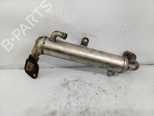 Egr OPEL MERIVA A MPV (X03)  | BP21604734M69 