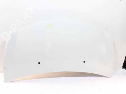 Used Hood RENAULT CLIO III (BR0/1, CR0/1) 1.5 dCi (75 hp) 15970278