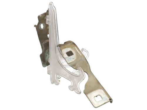 Hinge/Door check strap CITROËN C3 II (SC_)  | BP29464188C146 
