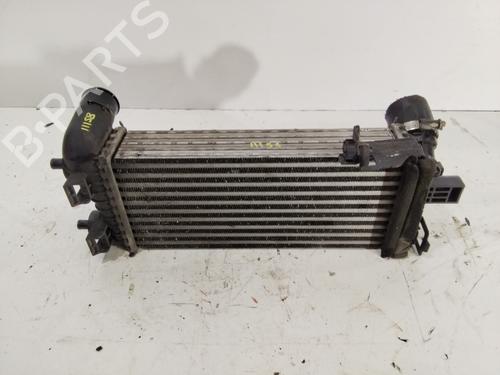 Used Intercooler Intercooler FORD FOCUS III 1.0 EcoBoost (125 hp) 33552918 33552918