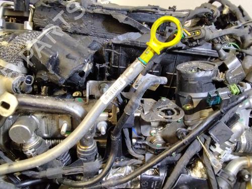 Motor LAND ROVER RANGE ROVER VELAR (L560)  | BP18246075M1 