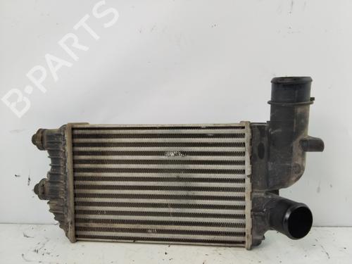 Intercooler FIAT DUCATO Bus (244_) 2.8 JTD | BP21762811M30 