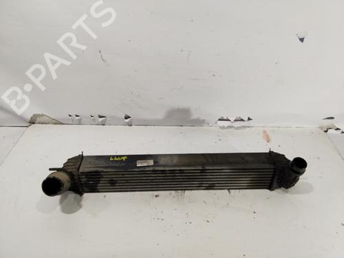 Ladeluftkühler für RENAULT LAGUNA III (BT0/1) 2.0 dCi (BT01, BT08, BT09, BT0E, BT0K, BT12, BT1C, BT1D,... (150 hp) 31721168