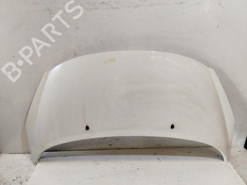 Used Hood PEUGEOT 207 (WA_, WC_) 1.6 HDi (90 hp) 19422738