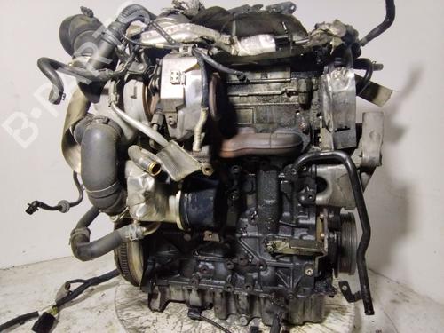 Motor für SEAT LEON (5F1) [2012-2021]  30548867