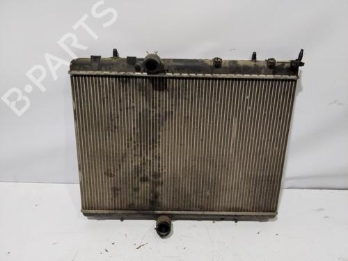 Wasserkühler PEUGEOT 307 (3A/C) | BP30582172M31