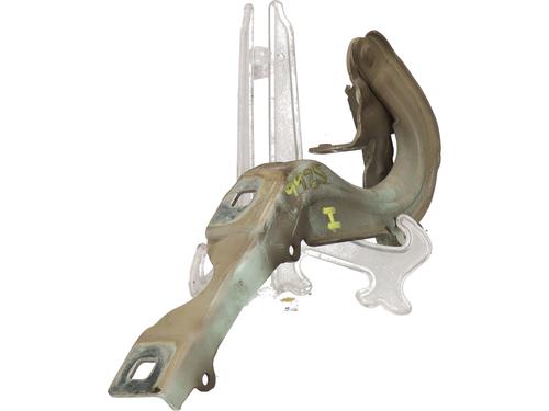 Hinge/Door check strap CITROËN C3 II (SC_)  | BP29464188C146 