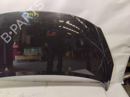 Hood PEUGEOT 207 CC (WD_)  | BP29588401C1 