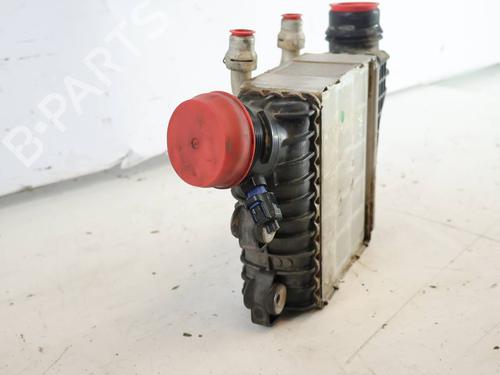 Intercooler LAND ROVER RANGE ROVER EVOQUE (L538)  | BP39988801M30  - Image 5