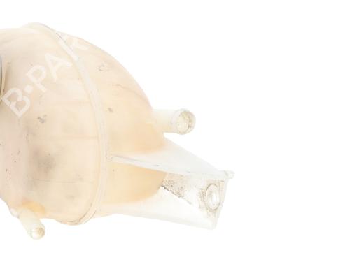Expansion tank RENAULT TRAFIC II Platform/Chassis (EL) 2.0 dCi 115 (EL0H, EL00, EL01, EL0M) | BP31118469C120
