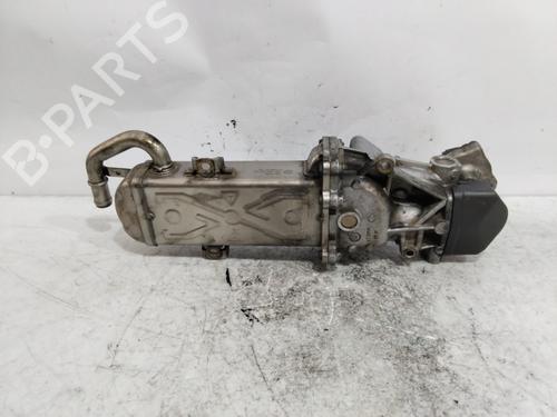 Egr SKODA OCTAVIA II (1Z3) 1.6 TDI | BP26696631M69 