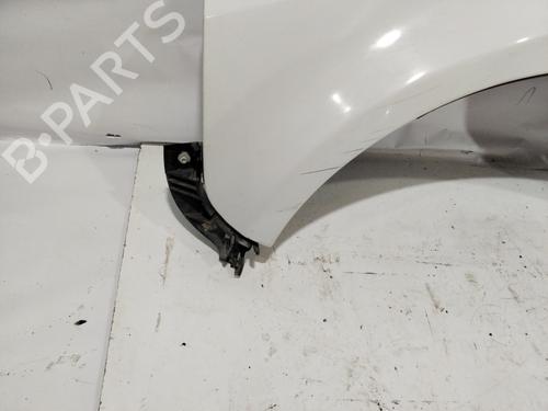 Left front fenders LAND ROVER FREELANDER 2 (L359) | BP30978128C41