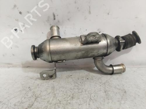 Egr CITROËN XSARA Coupe (N0) 2.0 HDi 109 | BP25906622M69