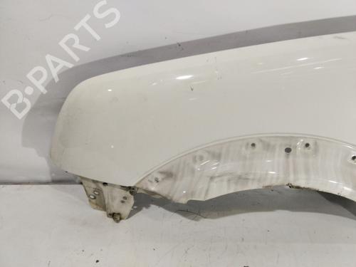 Left front fenders FORD TOURNEO CONNECT | BP32364303C41