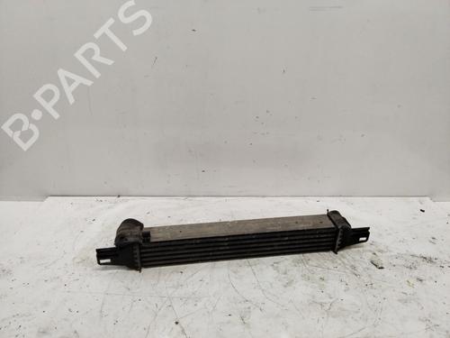 Intercooler CITROËN NEMO Box Body/MPV (AA_) 1.3 BlueHDi 80 | BP17968879M30 