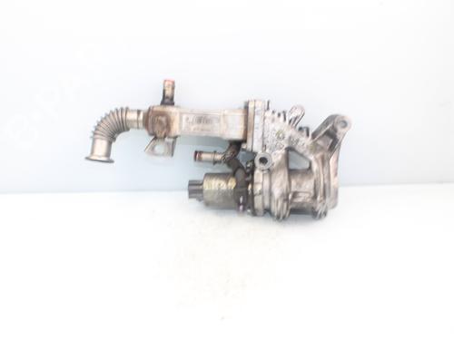 Used Egr RENAULT SCÉNIC II (JM0/1_) 1.9 dCi (JM0G, JM12, JM1G, JM2C) (120 hp) 16520164