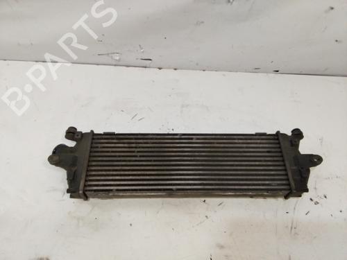 Intercooler OPEL VIVARO A Bus (X83) 2.0 CDTI (F7, J7, A07) | BP29441105M30 