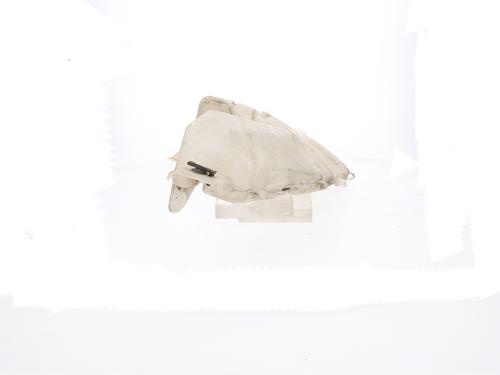 Windscreen washer tank FORD FOCUS II (DA_, HCP, DP)  | BP29408847C113 