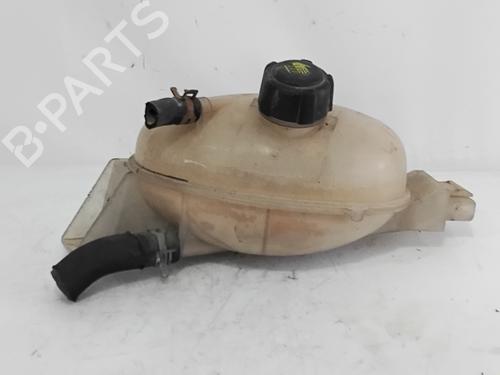 Expansion tank RENAULT MASTER III Van (FV) 2.3 dCi 110 FWD (FV0R, FV0W, FV1A) | BP29433571C120 