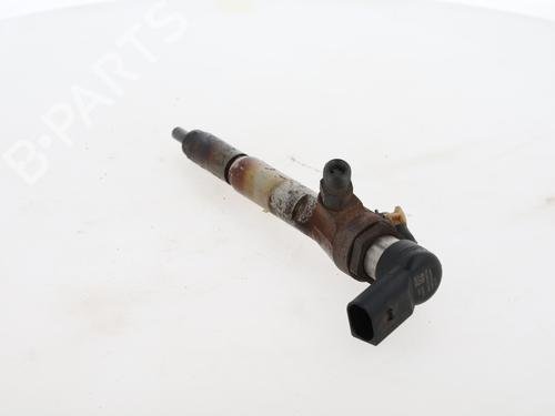 Injector RENAULT SCÉNIC II (JM0/1_)  | BP29616905M100