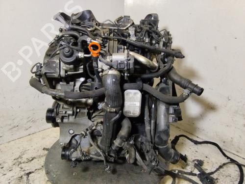 Engine VW TIGUAN (5N_) | BP38014533M1 - Image 6