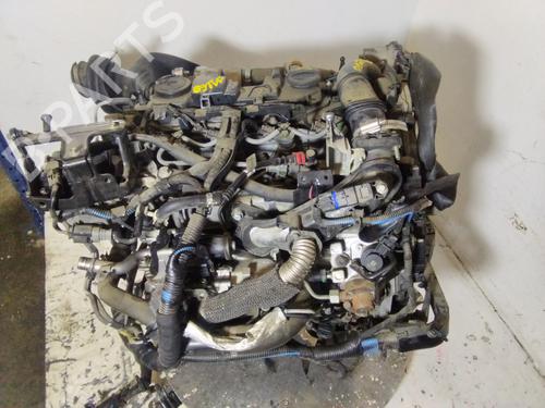 Engine FORD ECOSPORT 1.5 TDCi | BP33649481M1  - Image 15
