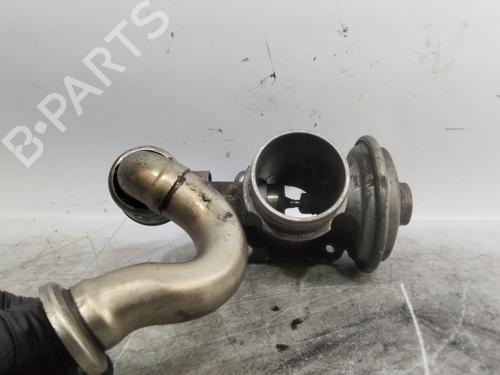 Egr BMW 5 (E39) 525 d | BP27371117M69 