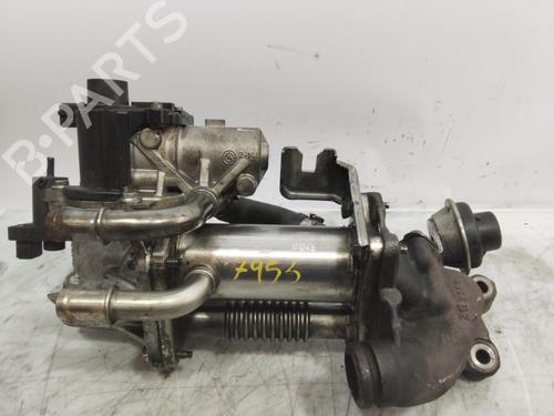 Egr RENAULT MEGANE III Hatchback (BZ0/1_, B3_)  | BP22274780M69 