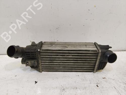 Intercooler CITROËN C5 III (RD_) 2.0 HDi 165 (RDRHHA, RDRHH8) | BP17968918M30 