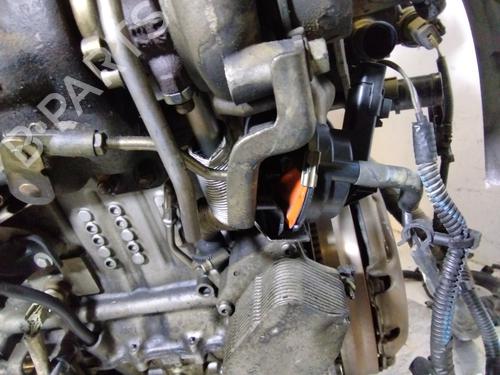 Engine FORD ECOSPORT 1.5 EcoBlue TDCi | BP36343632M1  - Image 14