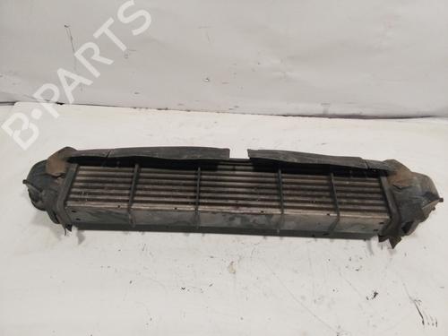 Intercooler MERCEDES-BENZ C-CLASS (W203) C 270 CDI (203.016) | BP24195238M30 