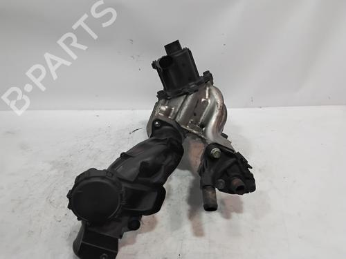 Egr RENAULT MEGANE II (BM0/1_, CM0/1_) 1.5 dCi (BM1F, CM1F) | BP29982653M69