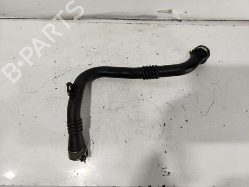 Rør RENAULT SCÉNIC III (JZ0/1_) [2008-2016]  31146636