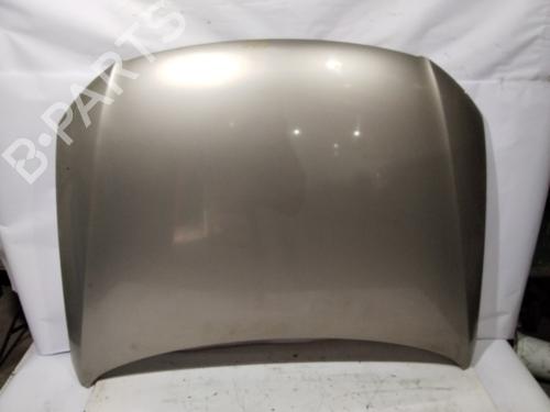 Used Hood VW PASSAT B6 (3C2) [2005-2011]  30389858