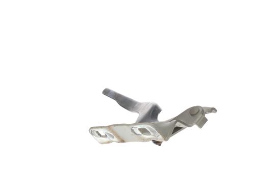 Dørhængsel/Dørbegrænser NISSAN QASHQAI I (J10, NJ10)  | BP29932801C146 