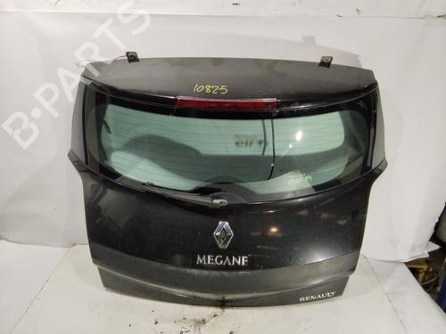 Tailgate RENAULT MEGANE II (BM0/1_, CM0/1_) 1.5 dCi (BM16, CM16) | BP31979191C6 