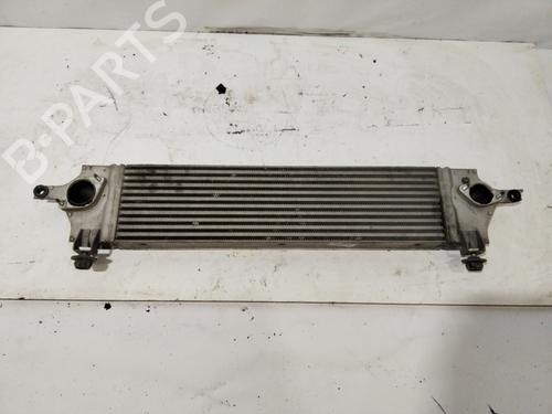 Intercooler NISSAN QASHQAI I (J10, NJ10) 2.0 dCi (150 hp) 30681411