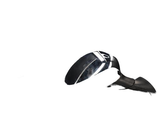 Right mirror FIAT GRANDE PUNTO (199_)  | BP29484020C27 