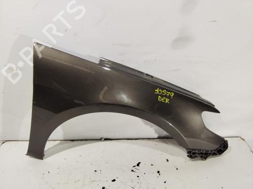 Right front fenders VW PASSAT CC B6 (357) | BP32229549C42