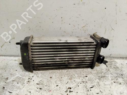 Intercooler PEUGEOT 206 Hatchback (2A/C)  | BP18262723M30 